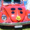 Bustreffen Roggwil 006